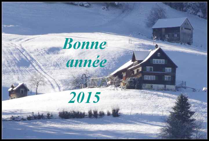 Bonne année 2015