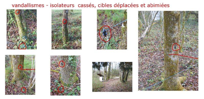 Vandalisme, isolateurs cassés dans une forêt
