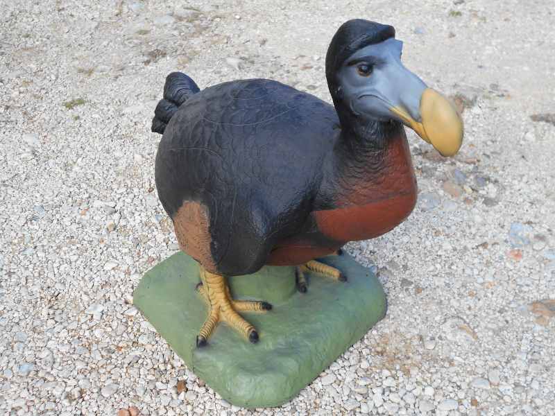 3D-Dodo-web.jpg